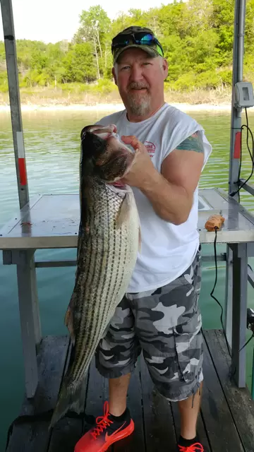 Guest holding a Striped Bass on the Keller's Kove boat dock