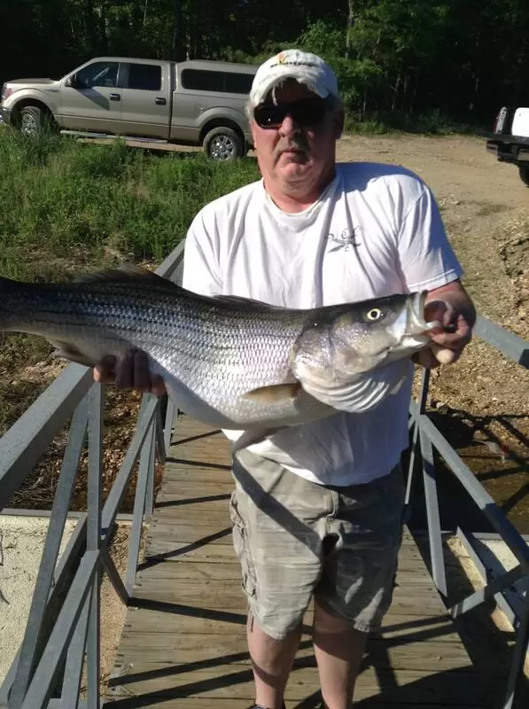 Guest holding a Striped Bass on the Keller's Kove boat dock