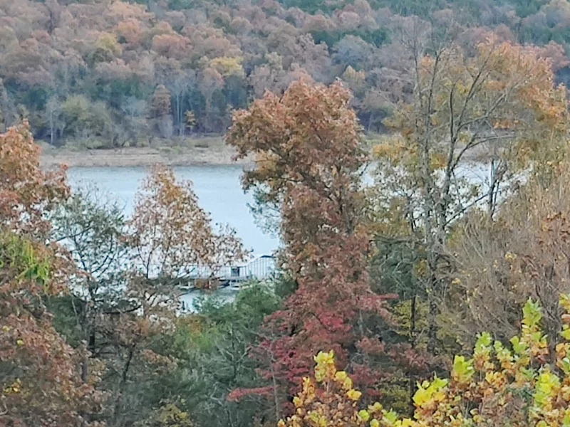 View of Lake Norfork framed by autumn trees
